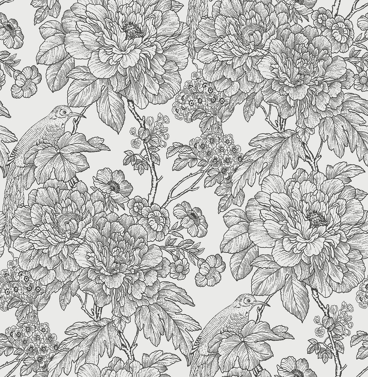 Transitional, Botanical