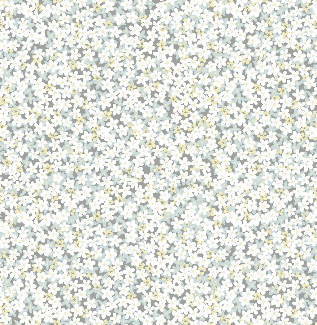 Transitional, Botanical