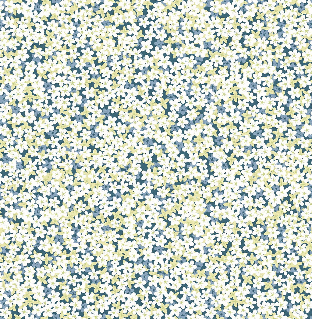 Transitional, Botanical