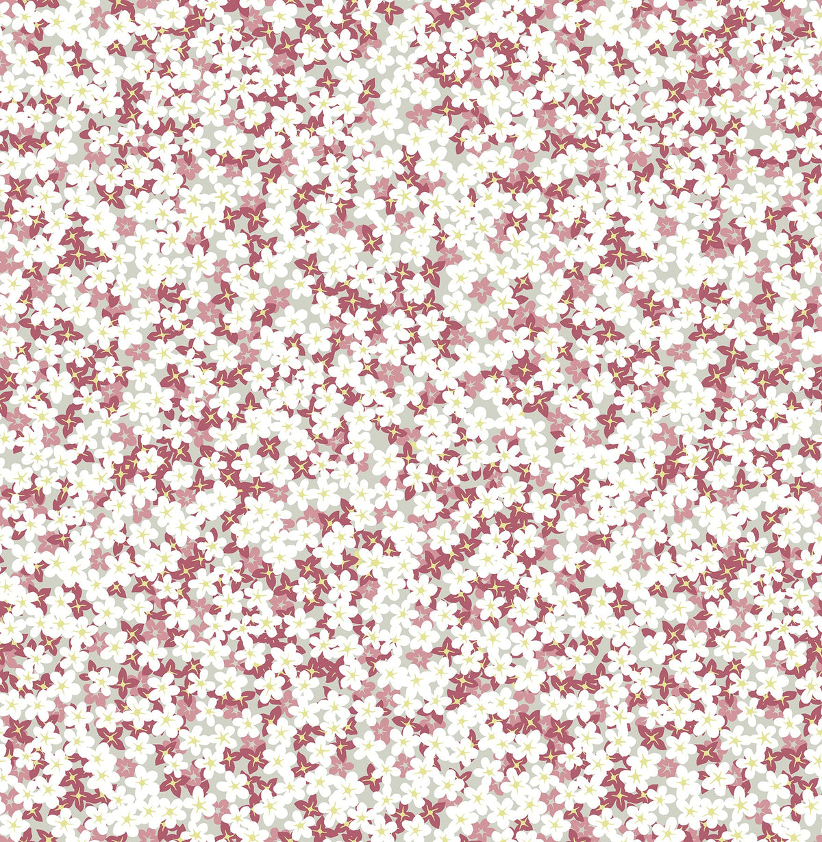 Transitional, Botanical