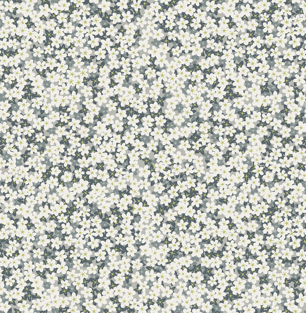 Transitional, Botanical
