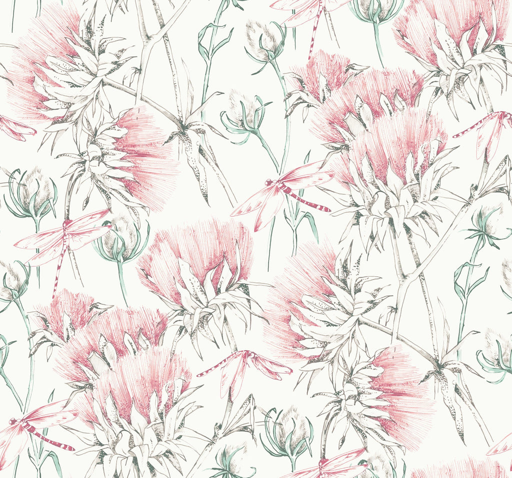Animals, Animals, Modern, Pink