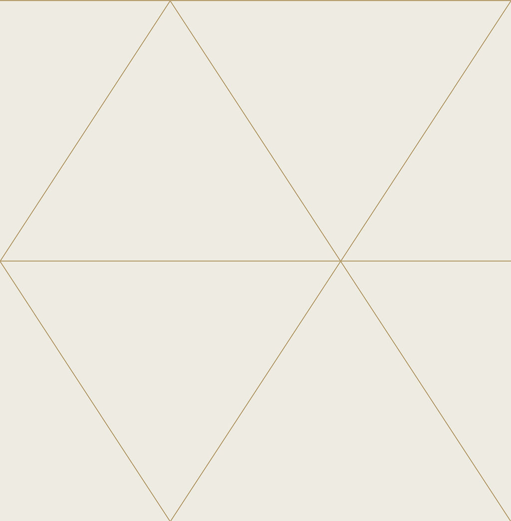 Graphics, Geometrics, Modern, Bone