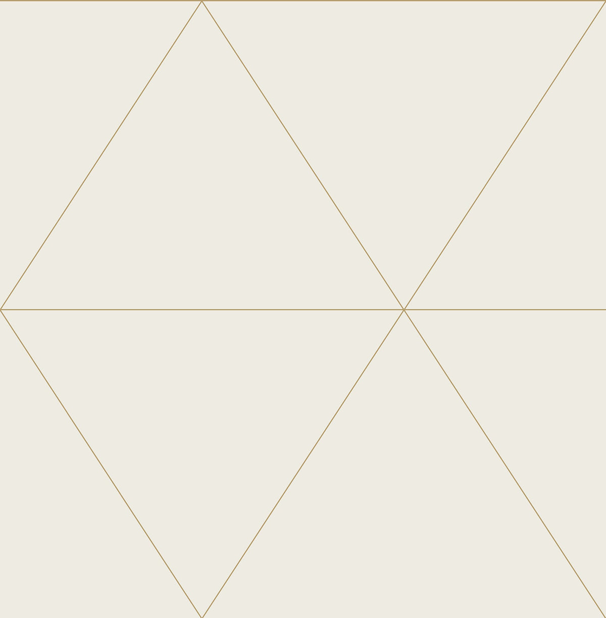 Graphics, Geometrics, Modern, Bone