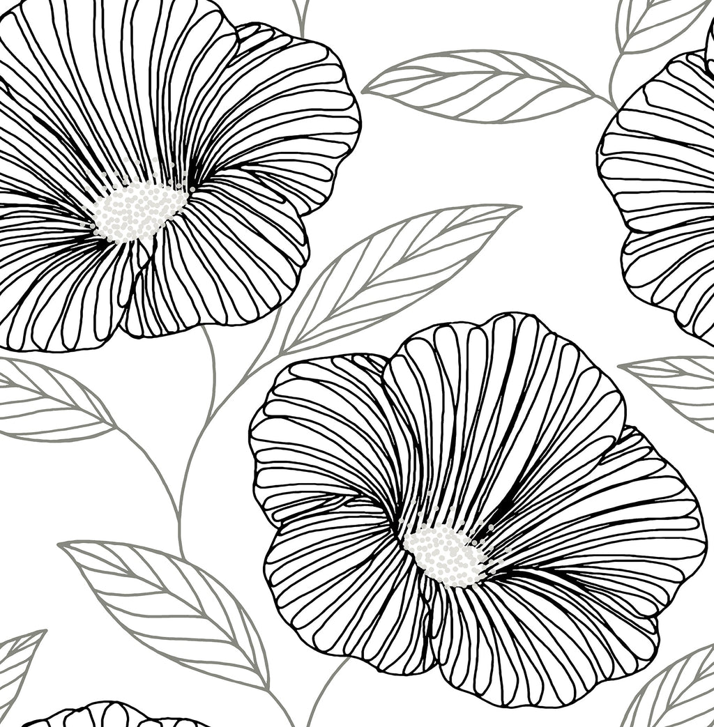 Botanical, Flowers, Modern, Black