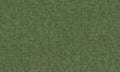 Distressed Textures, Dark Green
