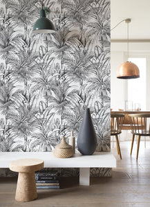 Serra Palm Palm Wallpaper