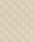 Transitional, Geometrics, Graphics