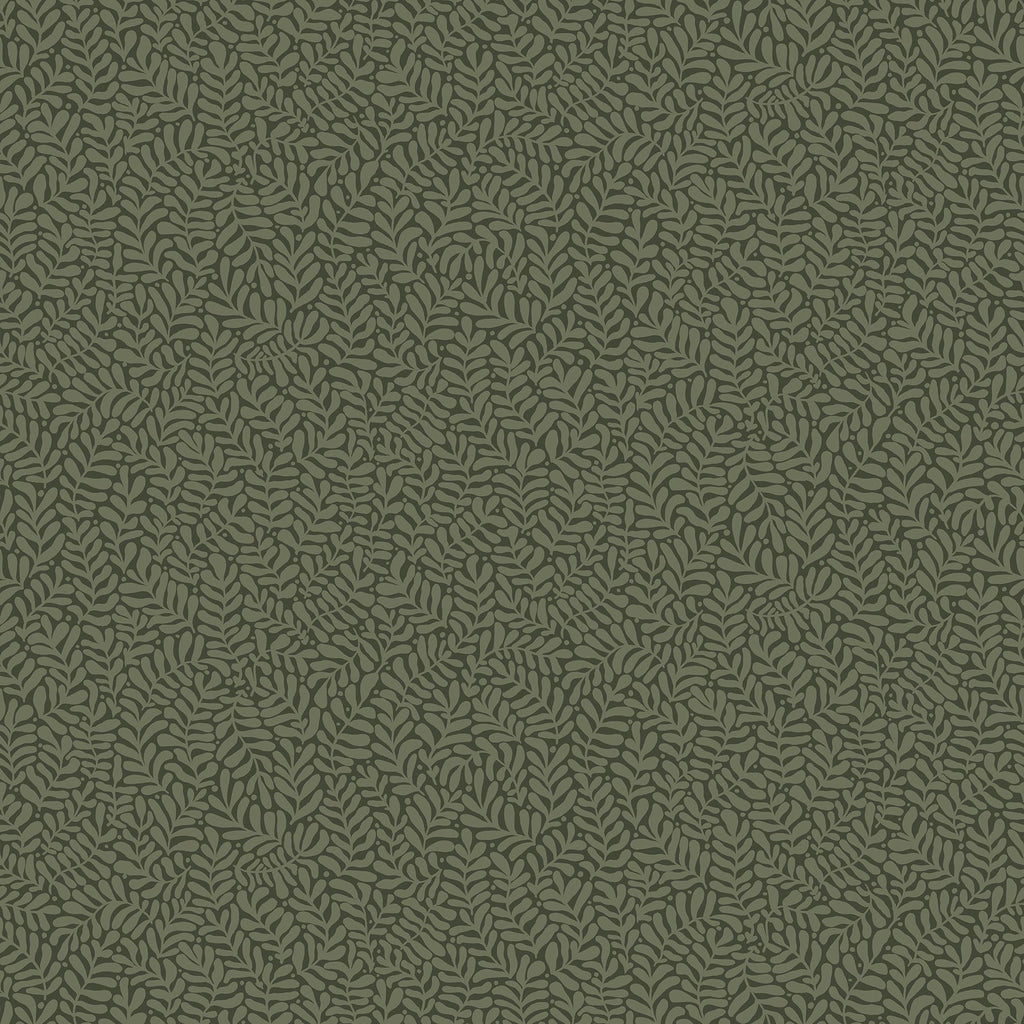Anna Fern Trail Wallpaper