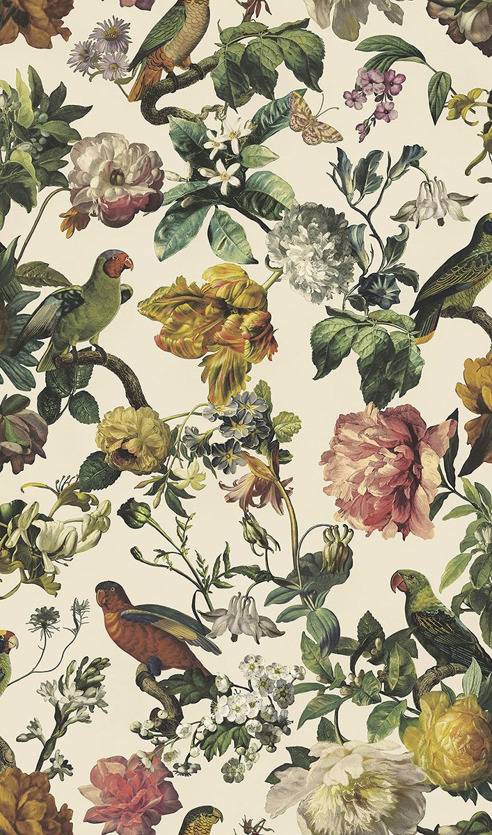Vintage, Birds, Botanical