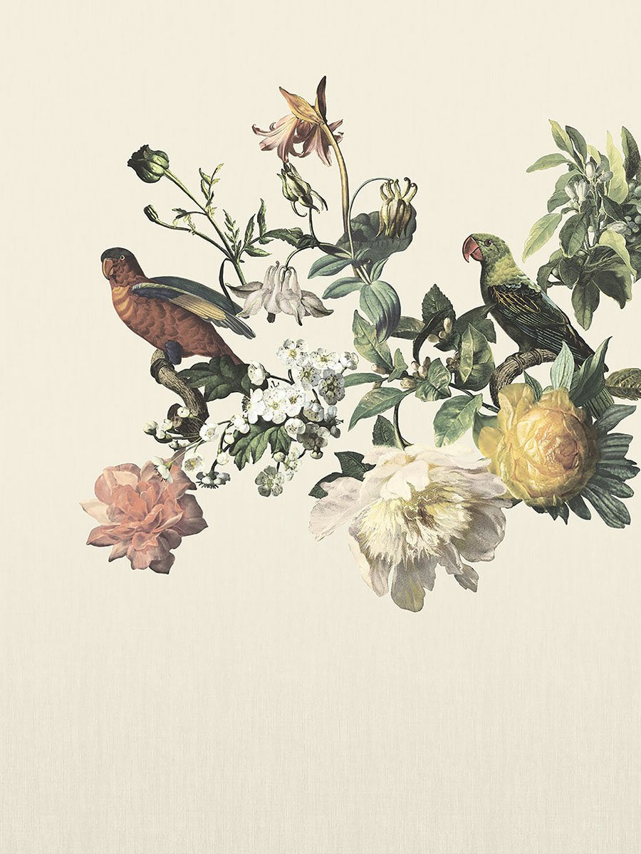 Vintage, Flowers, Botanical