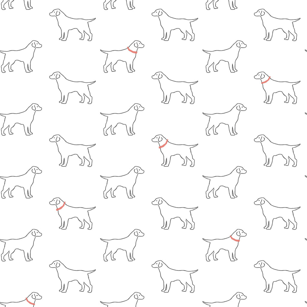 Modern, Animals, Animals
