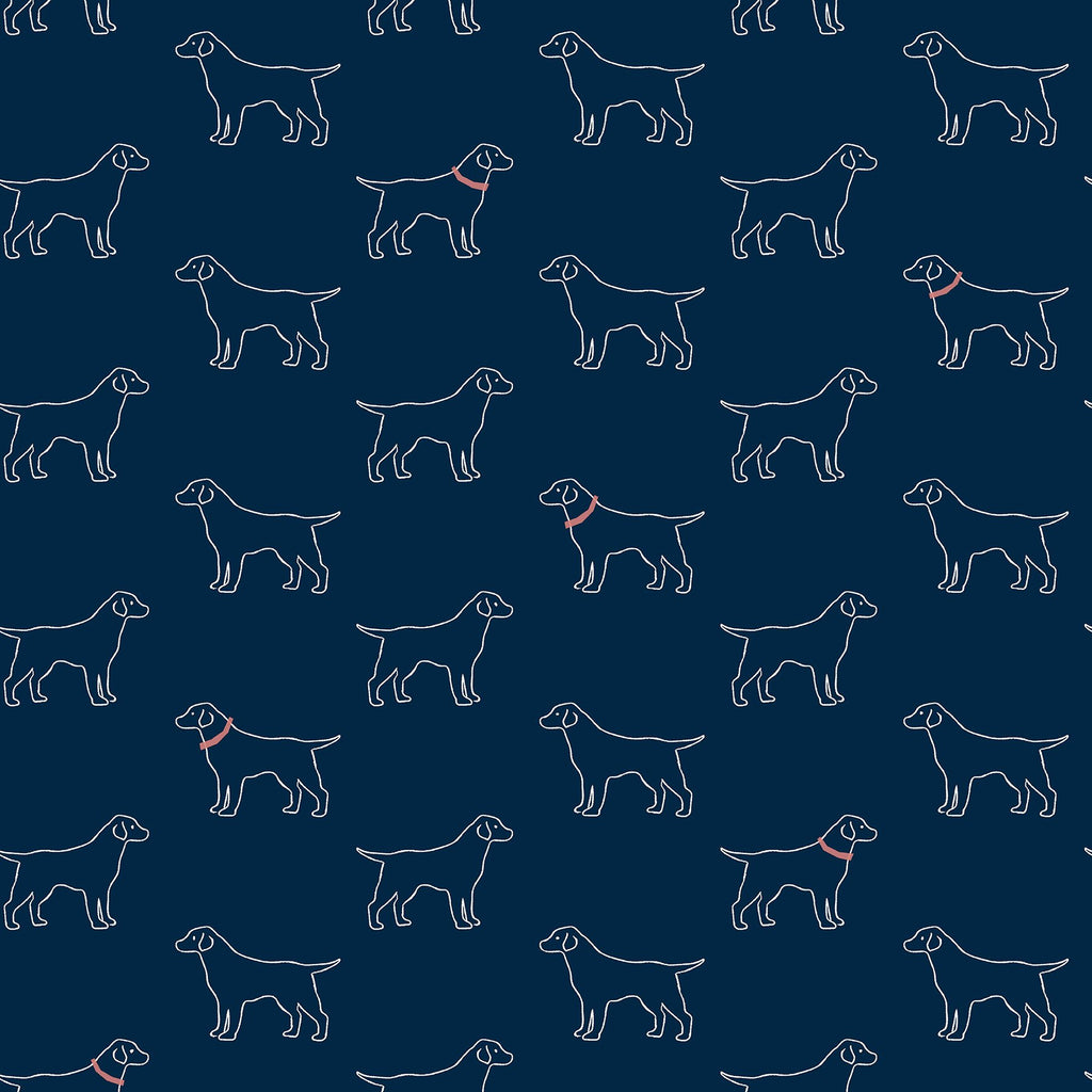 Modern, Animals, Animals