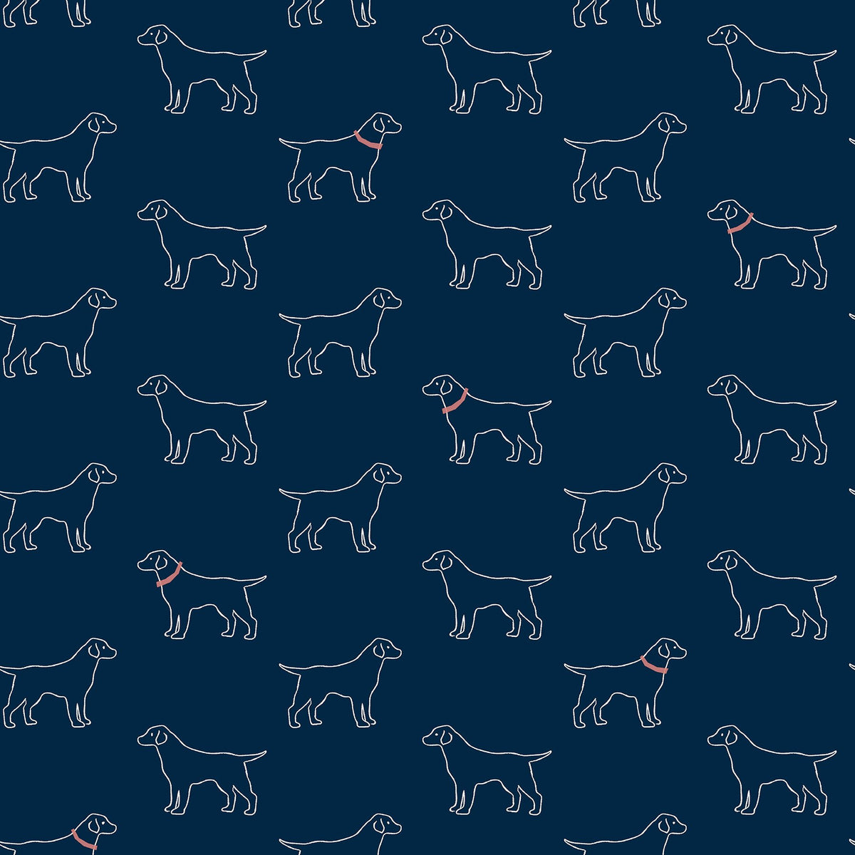 Modern, Animals, Animals