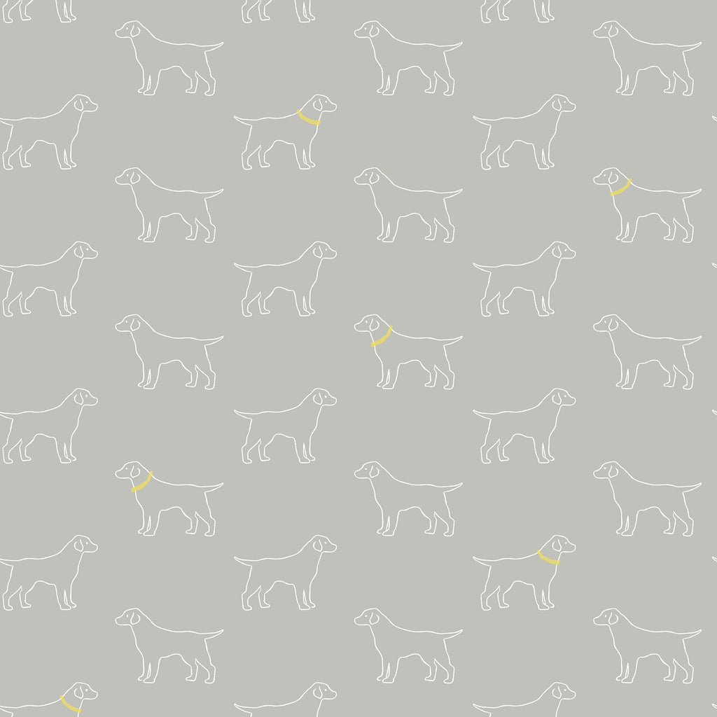 Modern, Animals, Animals