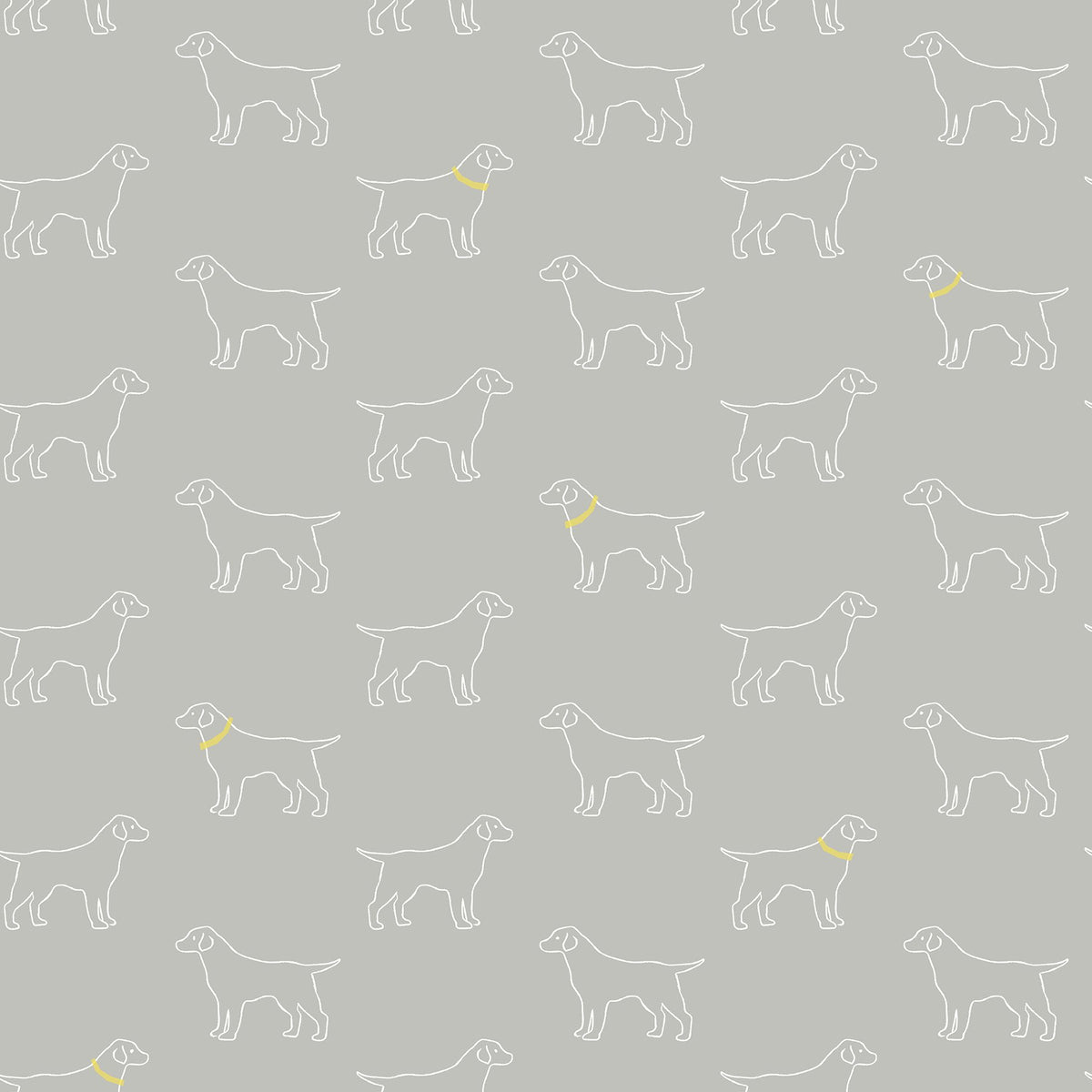 Modern, Animals, Animals