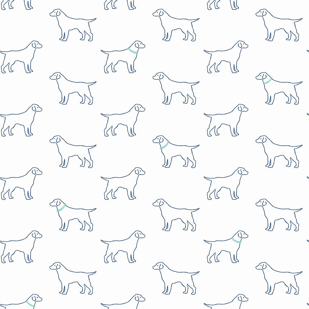 Modern, Animals, Animals