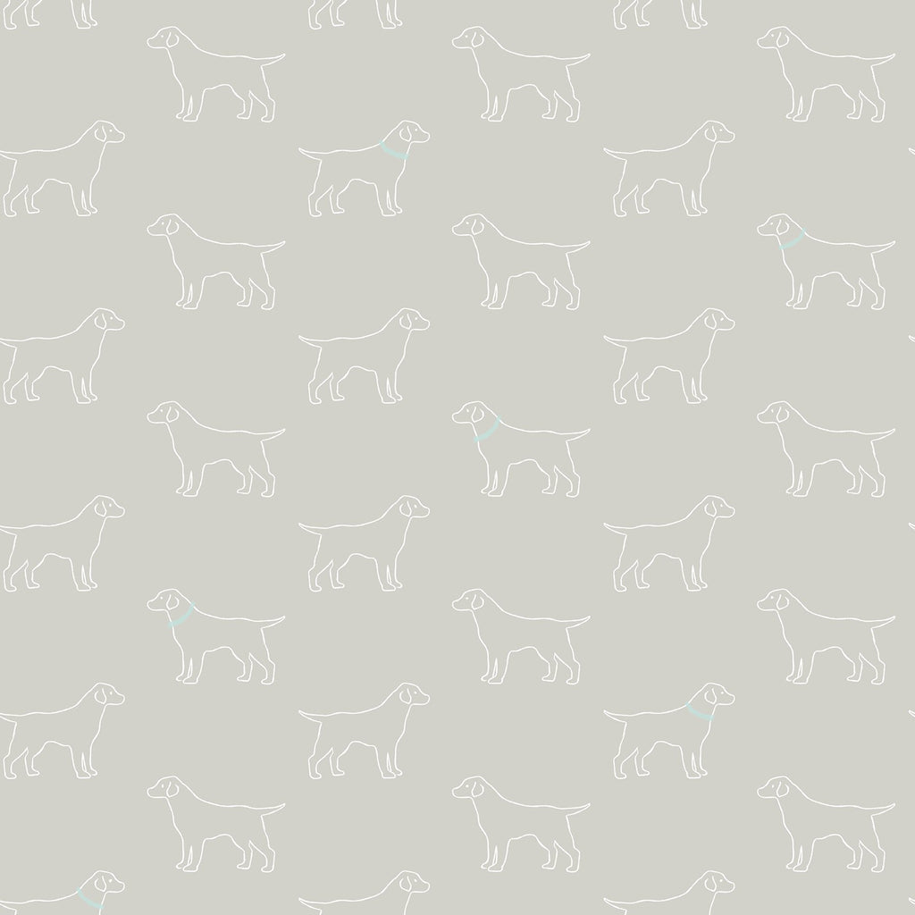 Modern, Animals, Animals