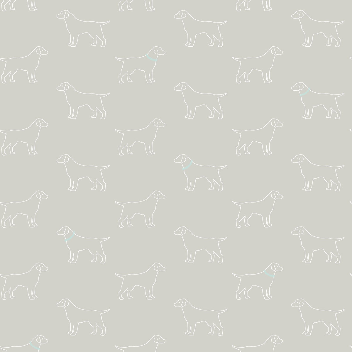Modern, Animals, Animals