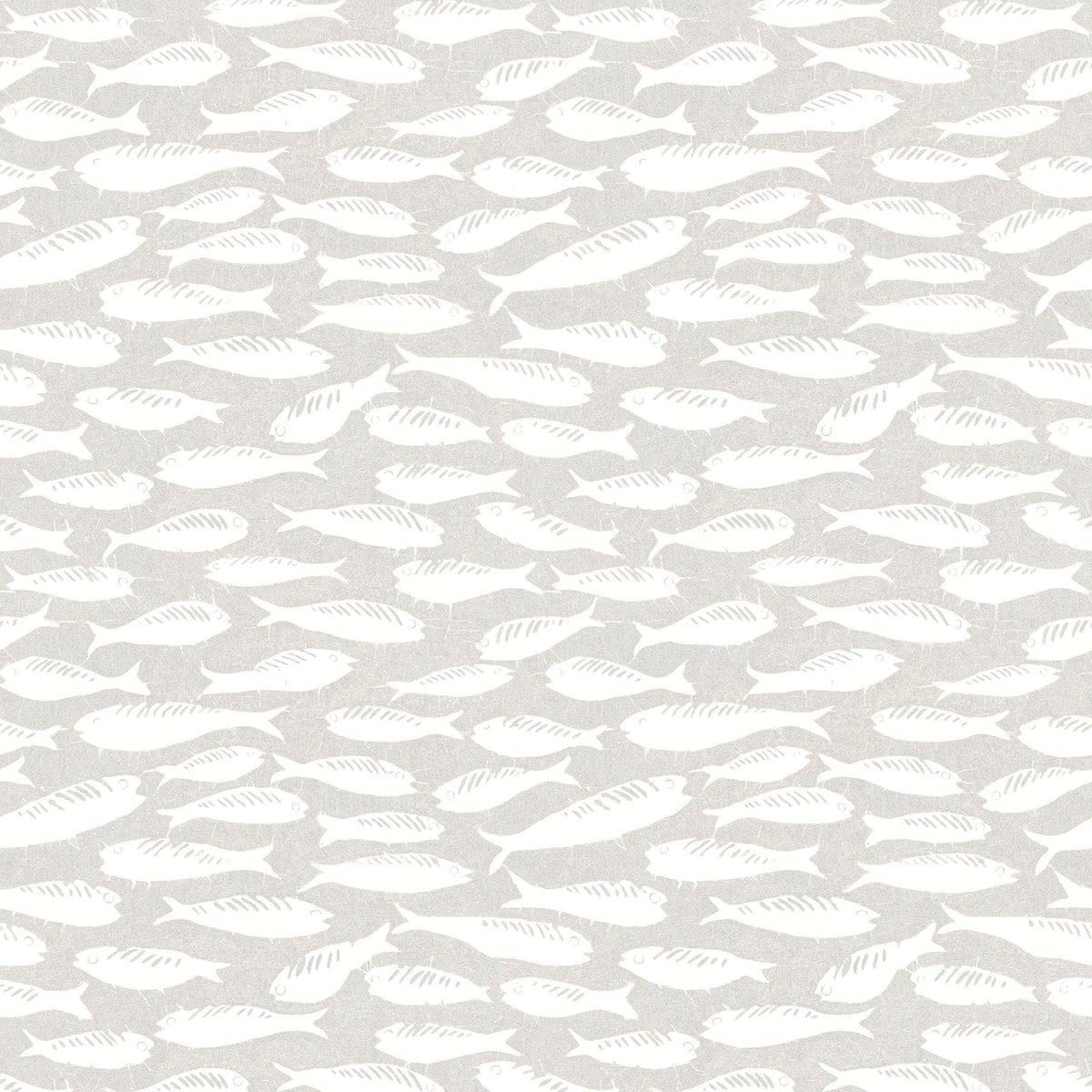 Coastal, Fish, Animals