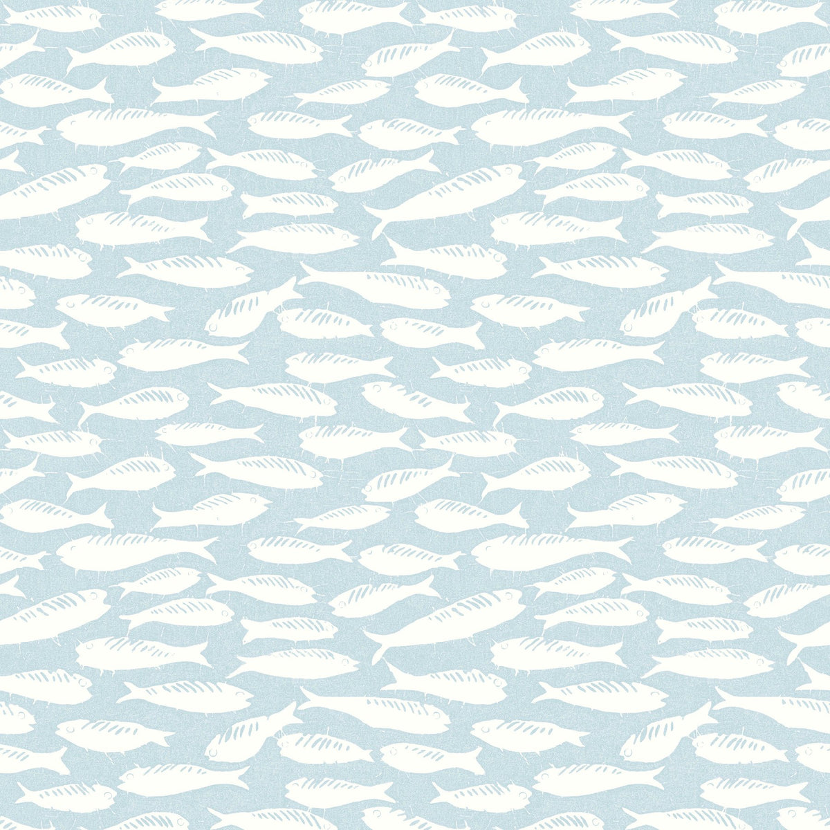 Coastal, Fish, Animals