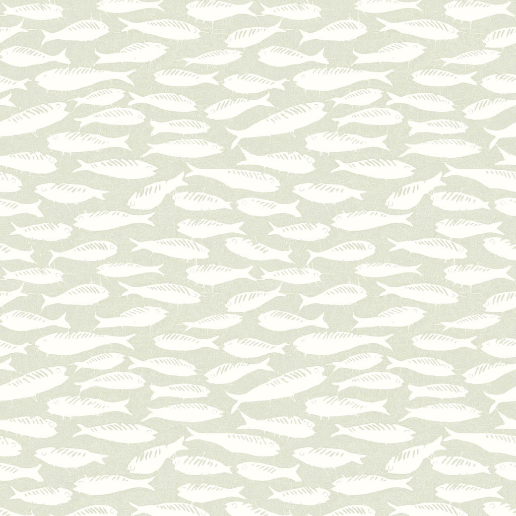 Coastal, Fish, Animals