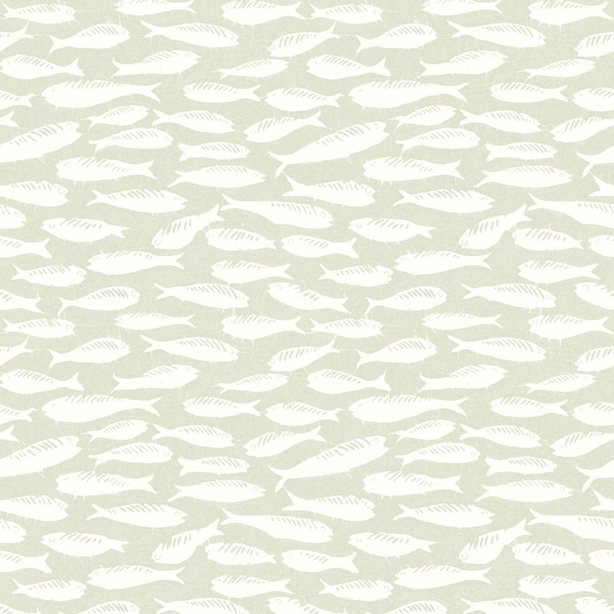 Coastal, Fish, Animals