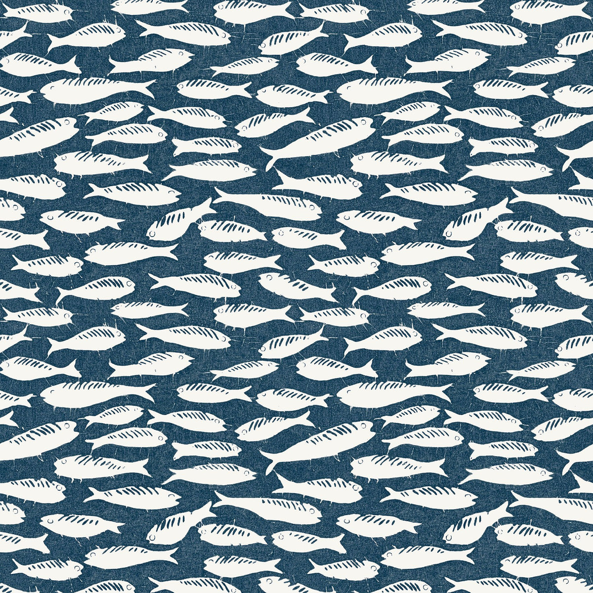 Coastal, Fish, Animals