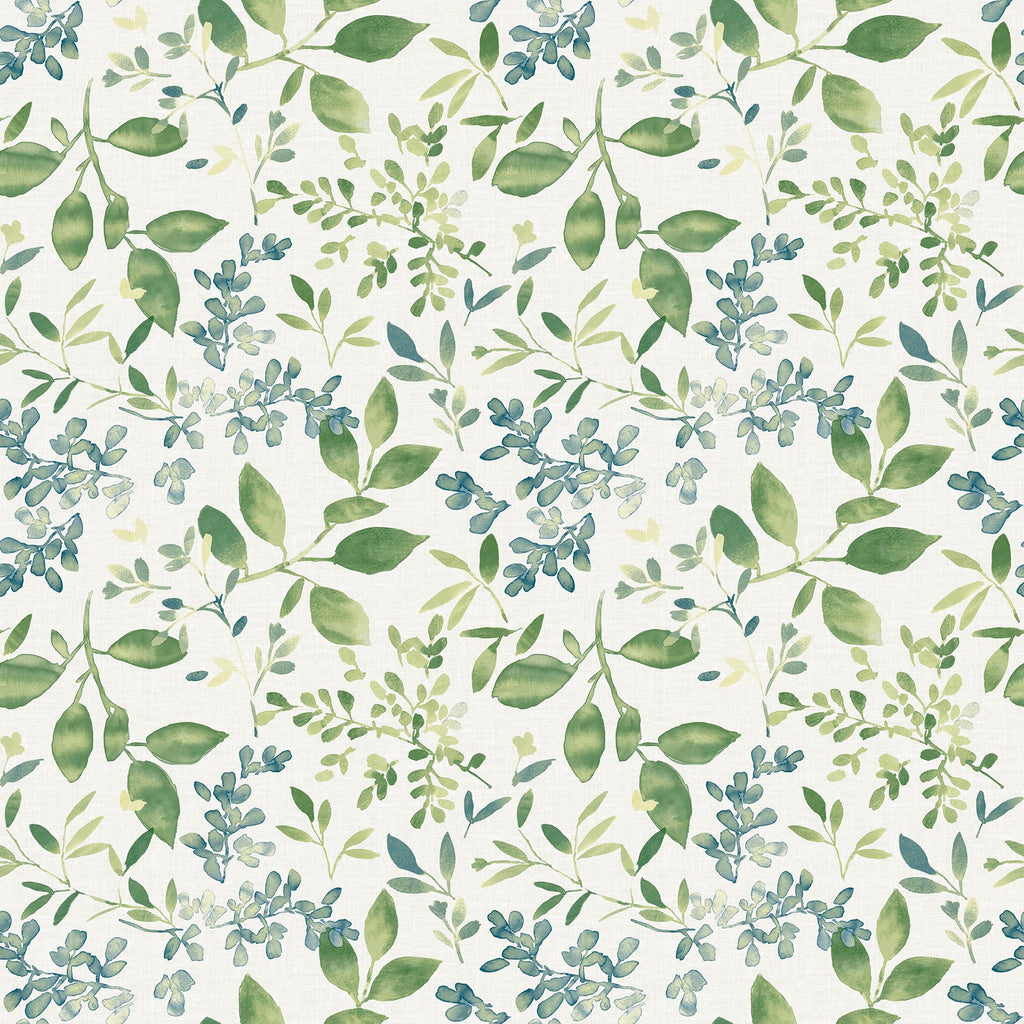 Farmhouse, Leaves, Botanical