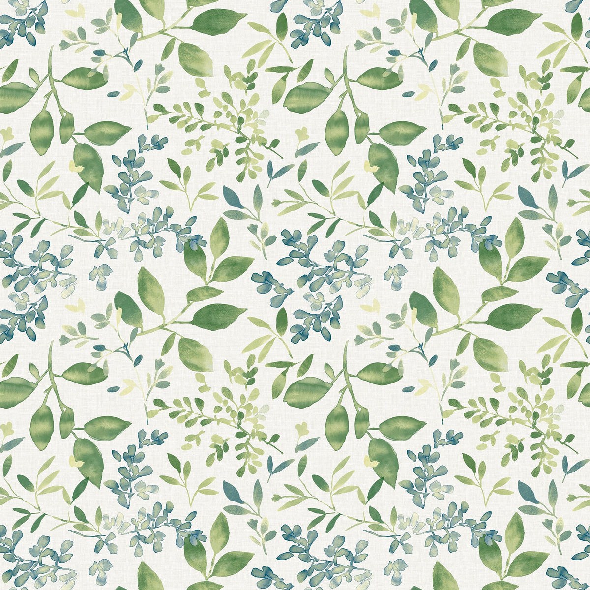 Farmhouse, Leaves, Botanical