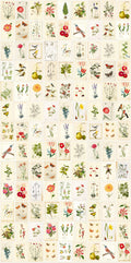Botanical Paper Mural