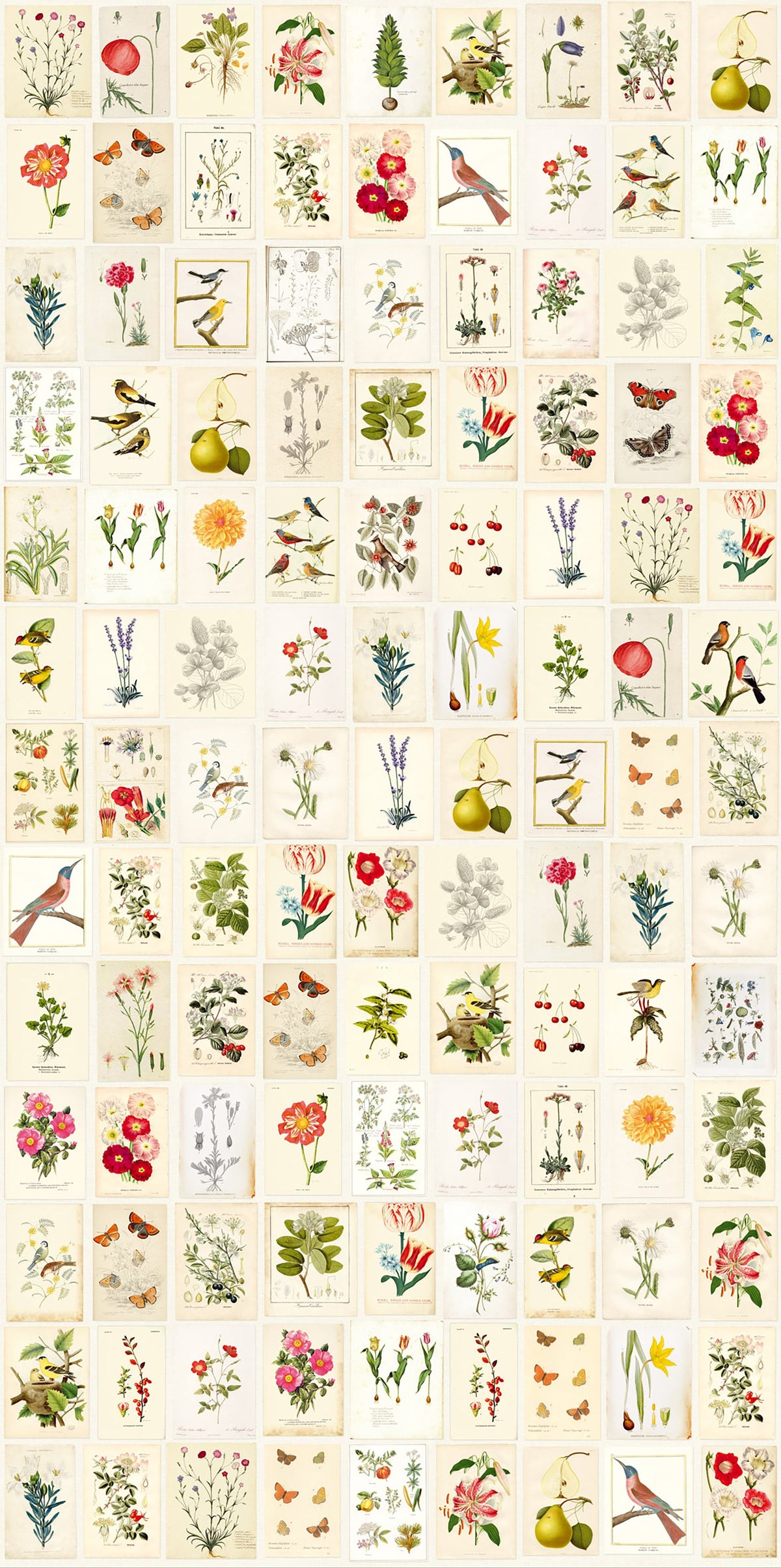 Botanical Paper Mural