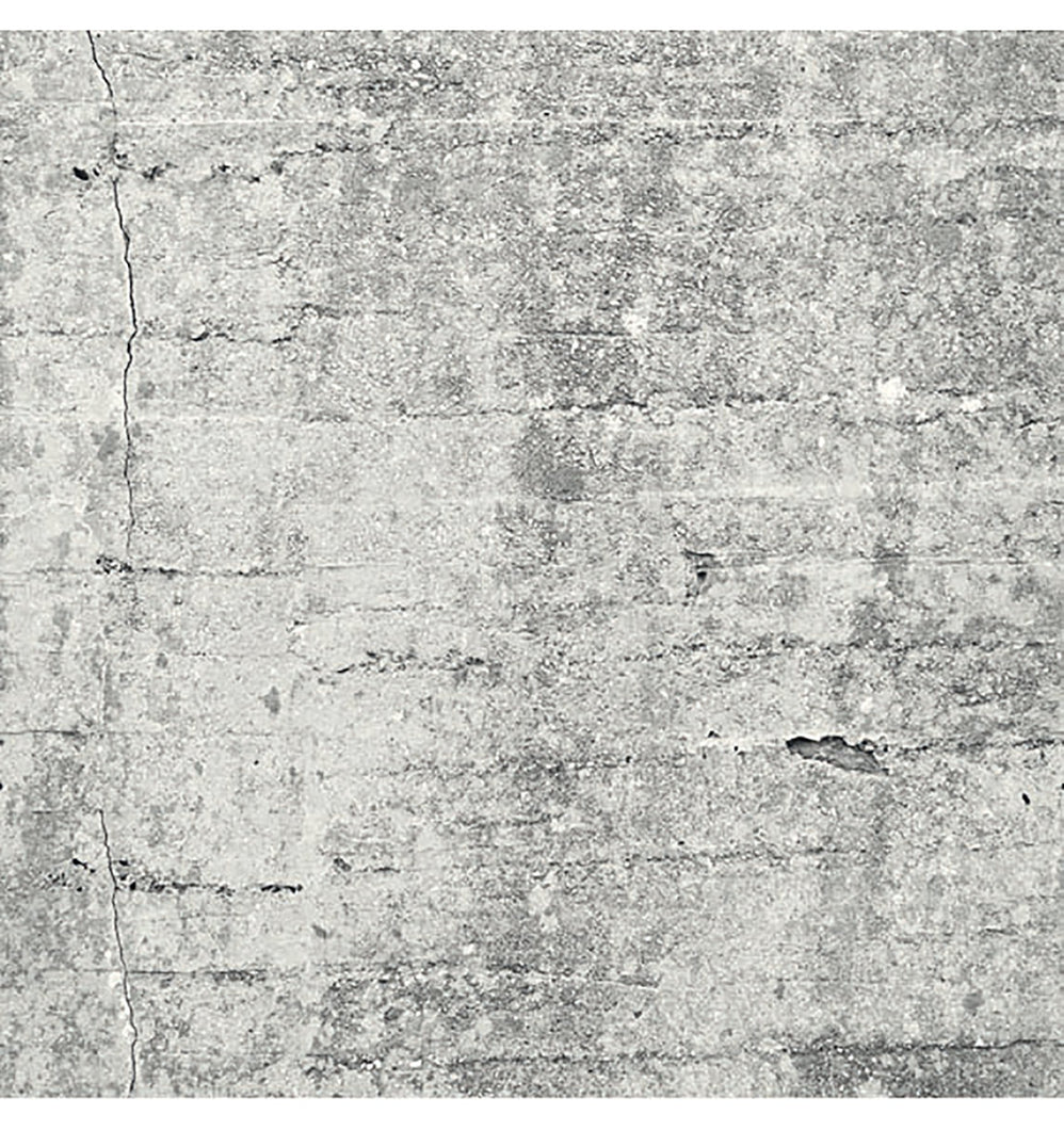Absolute Concrete Light Grey Graphic Mural