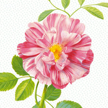 Load image into Gallery viewer, Peony Mural