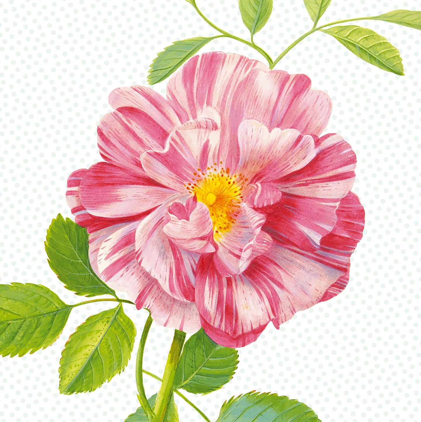 Peony Mural