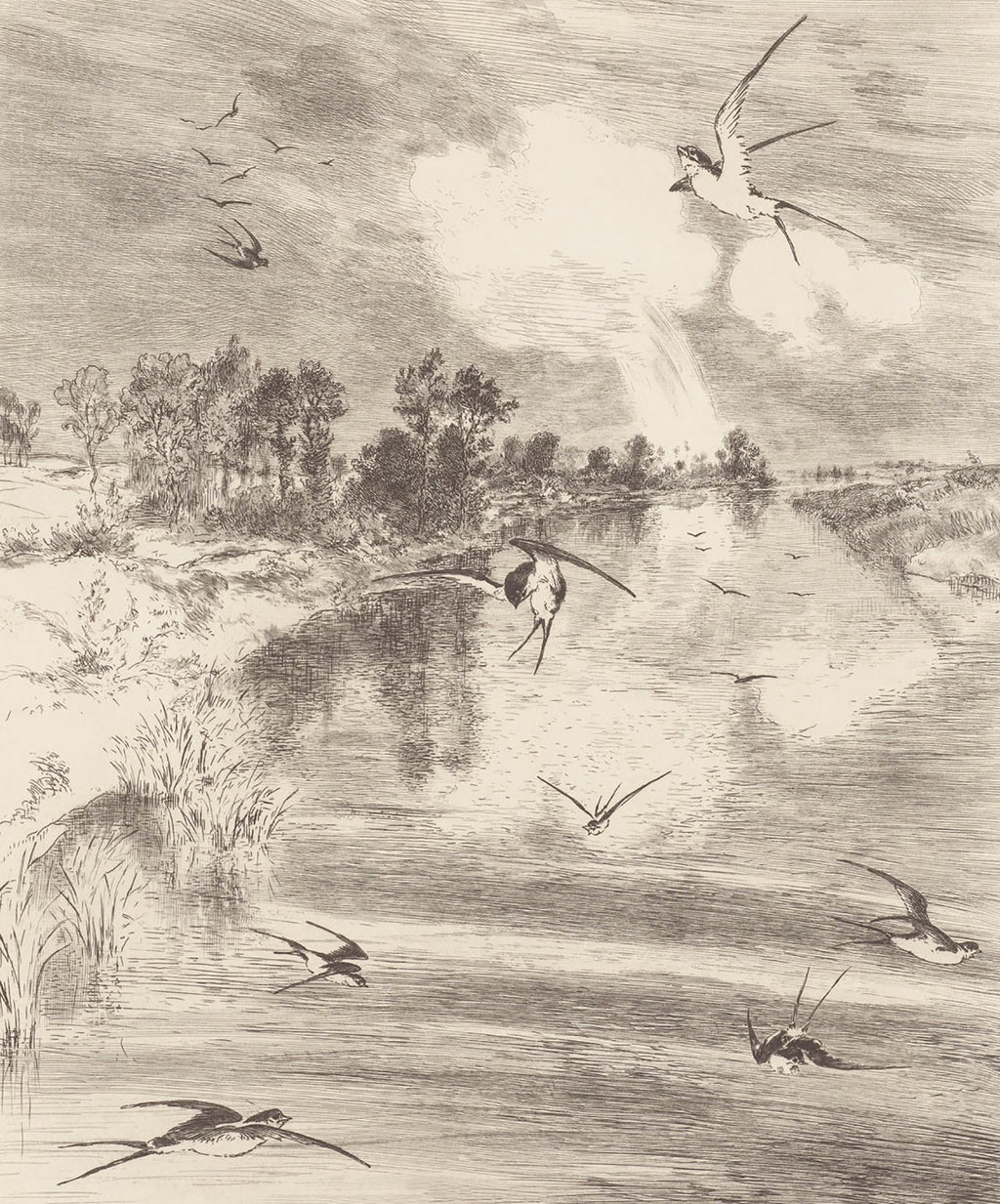 Hirundo Cream Wall Mural