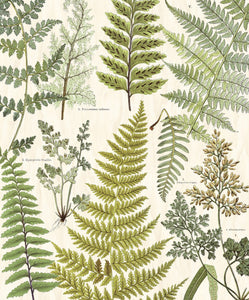 Herbarium Green Wall Mural