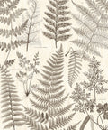Herbarium Black Wall Mural