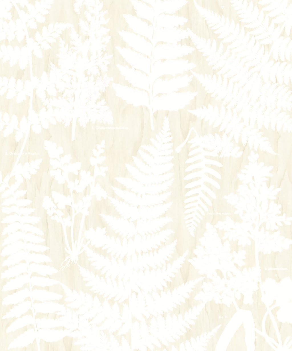 Herbarium White Wall Mural