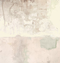 Load image into Gallery viewer, Pale Pink Weathered Wall Mural