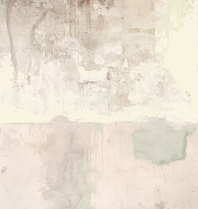 Pale Pink Weathered Wall Mural