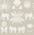 Bohemian, Animals, Animals