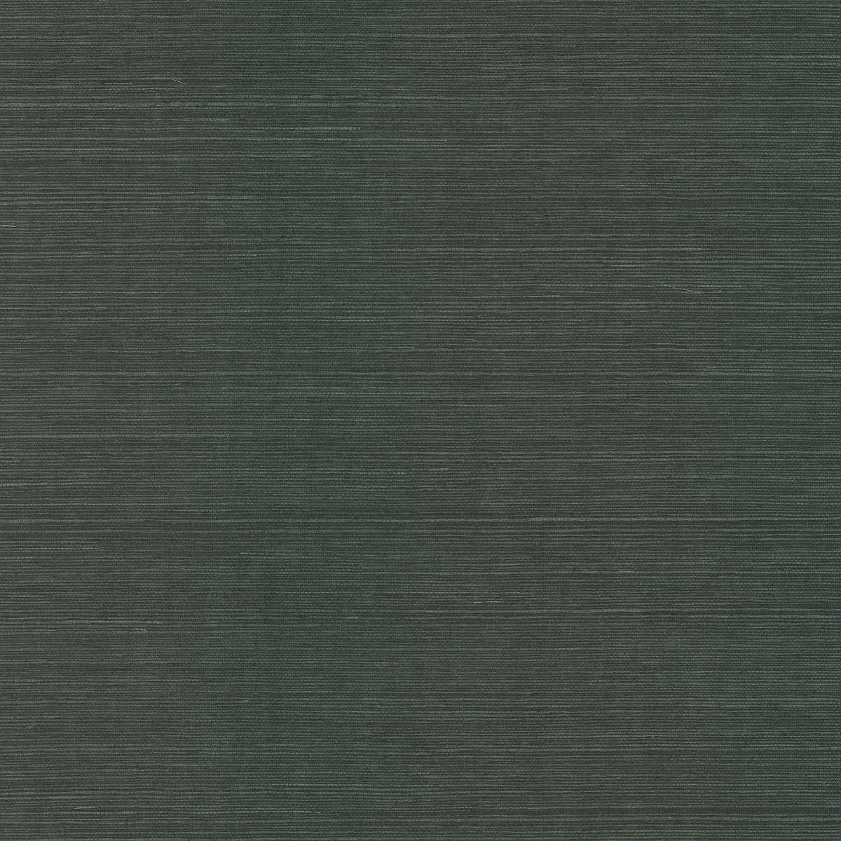 Colcord Sisal Grasscloth Wallpaper