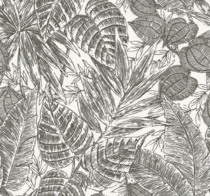 Brentwood Palm Leaves Wallpaper