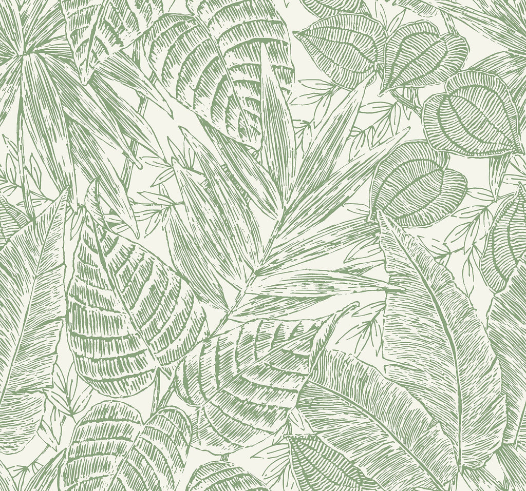 Brentwood Palm Leaves Wallpaper