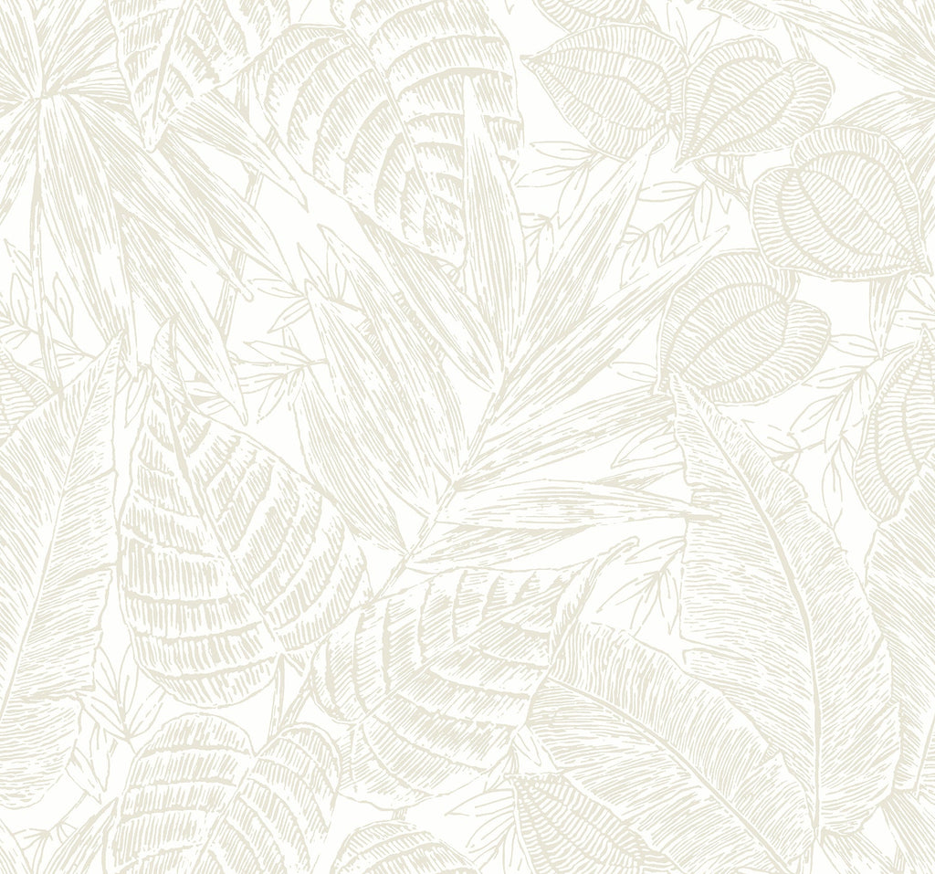 Brentwood Palm Leaves Wallpaper
