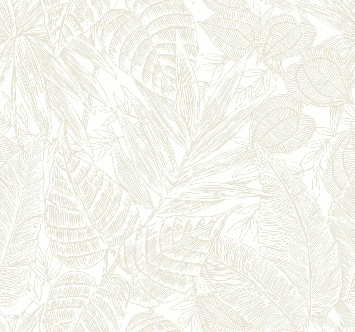 Brentwood Palm Leaves Wallpaper