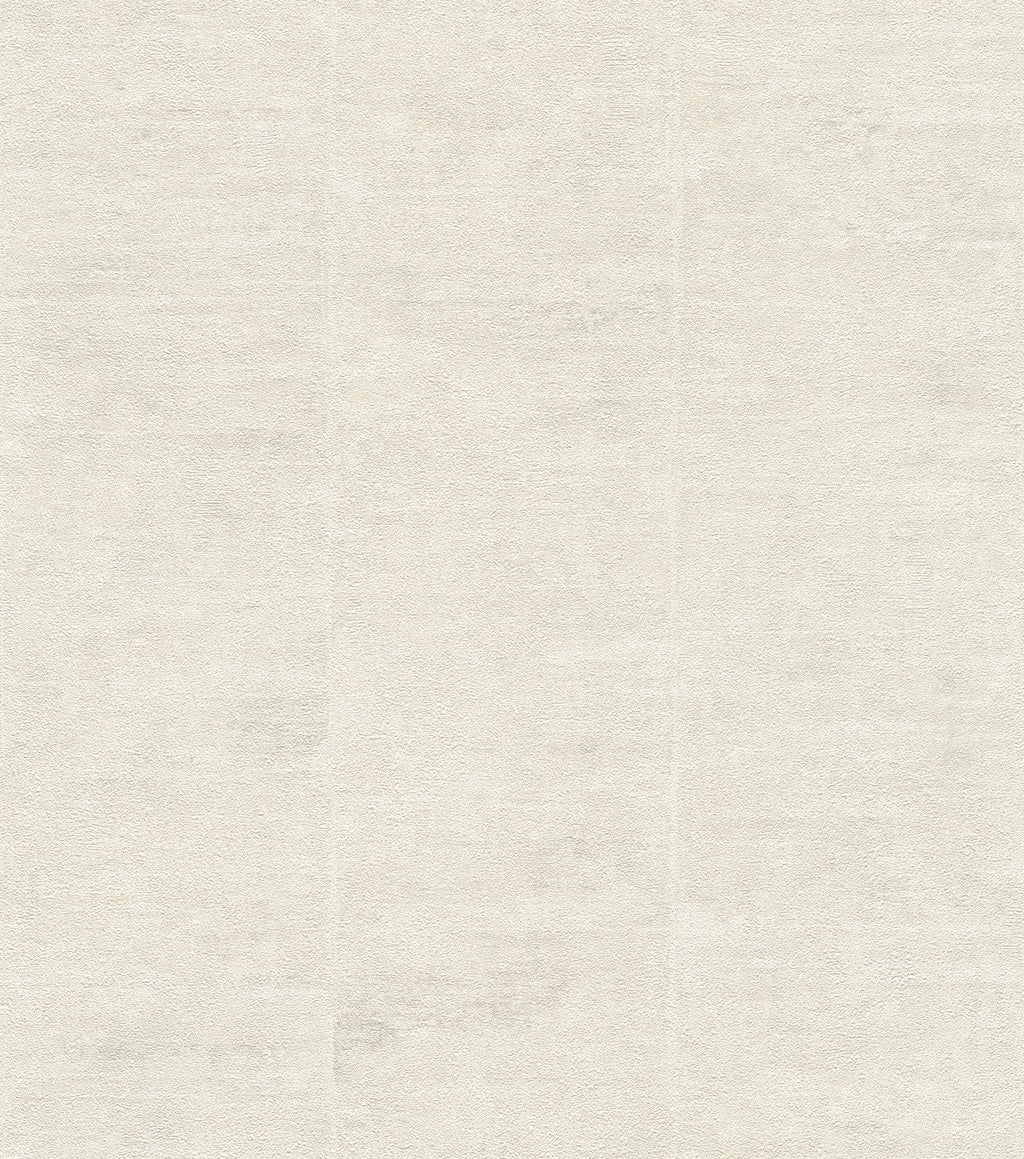 Dove, Modern