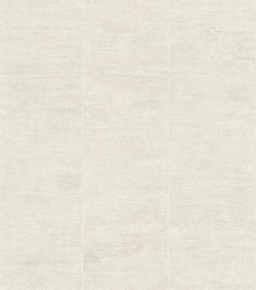 Dove, Modern