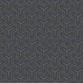 Masculine, Geometrics, Graphics